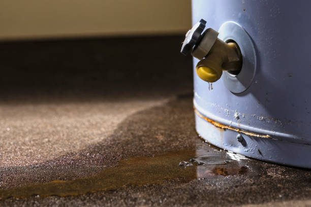 Best 24-hour water damage restoration  in Taylorsville, KY
