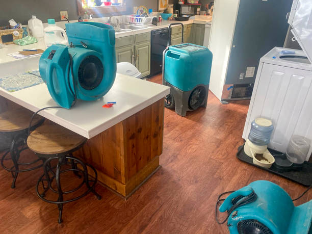 Best Residential water damage restoration  in Taylorsville, KY