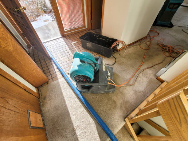 Best Emergency water damage restoration  in Taylorsville, KY