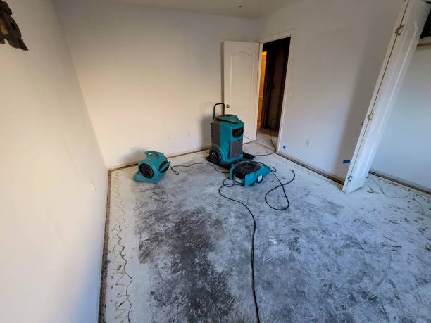 Best Mold removal after water damage  in Taylorsville, KY