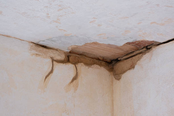Best Water damage restoration services  in Taylorsville, KY