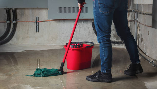 Reliable Taylorsville, KY Water damage restoration Solutions