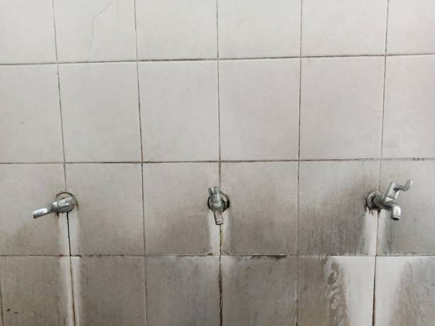 Best Flood damage cleanup  in Taylorsville, KY