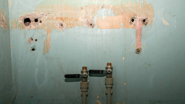  Taylorsville, KY Water damage restoration Pros