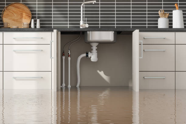 Best Flooded house restoration  in Taylorsville, KY