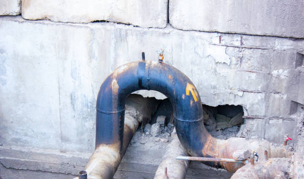Best Water damage repair service  in Taylorsville, KY