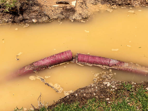 Best Water damage restoration cost  in Taylorsville, KY
