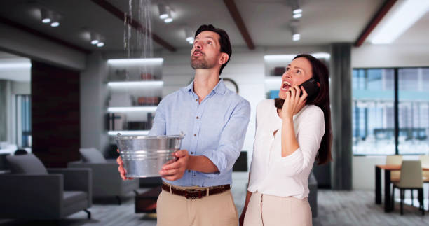 Best Flood damage cleanup  in Taylorsville, KY