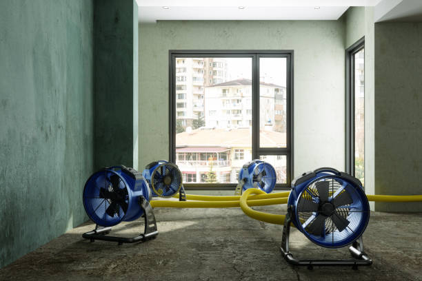  Taylorsville, KY Water damage restoration Pros